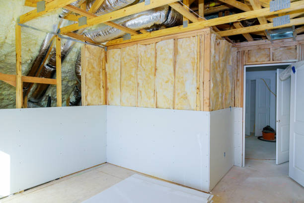 Best Eco-Friendly Insulation in East Meadow, NY