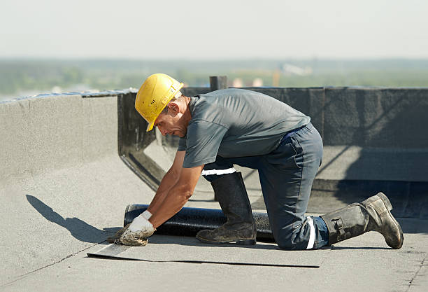 Best Specialized Insulation Services in East Meadow, NY